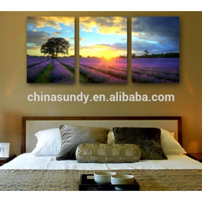 Professional factory provide sunset seascape photography canvas printing for sale