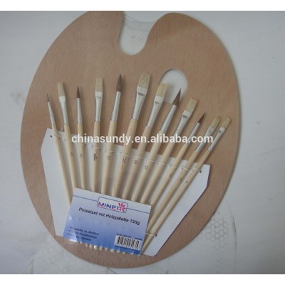 12 pcs bristle brush set(SD-AB041)